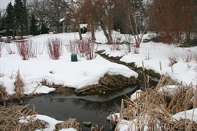 Walking By Wingra Creek In Snow >> Save Our Stream Exploring Lake Wingra In Winter Walking By Wingra Creek In Snow >> Save Our Stream Exploring Lake Wingra In Winter
