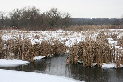 Walking By Wingra Creek In Snow >> Save Our Stream Exploring Lake Wingra In Winter Walking By Wingra Creek In Snow >> Save Our Stream Exploring Lake Wingra In Winter