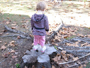 Vacation ShotsMyrtle Beach, SC (img )