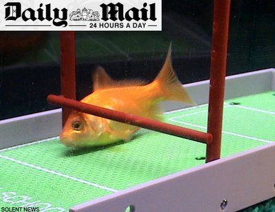 [peixe2.jpg]