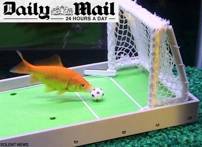 [peixe1.jpg]