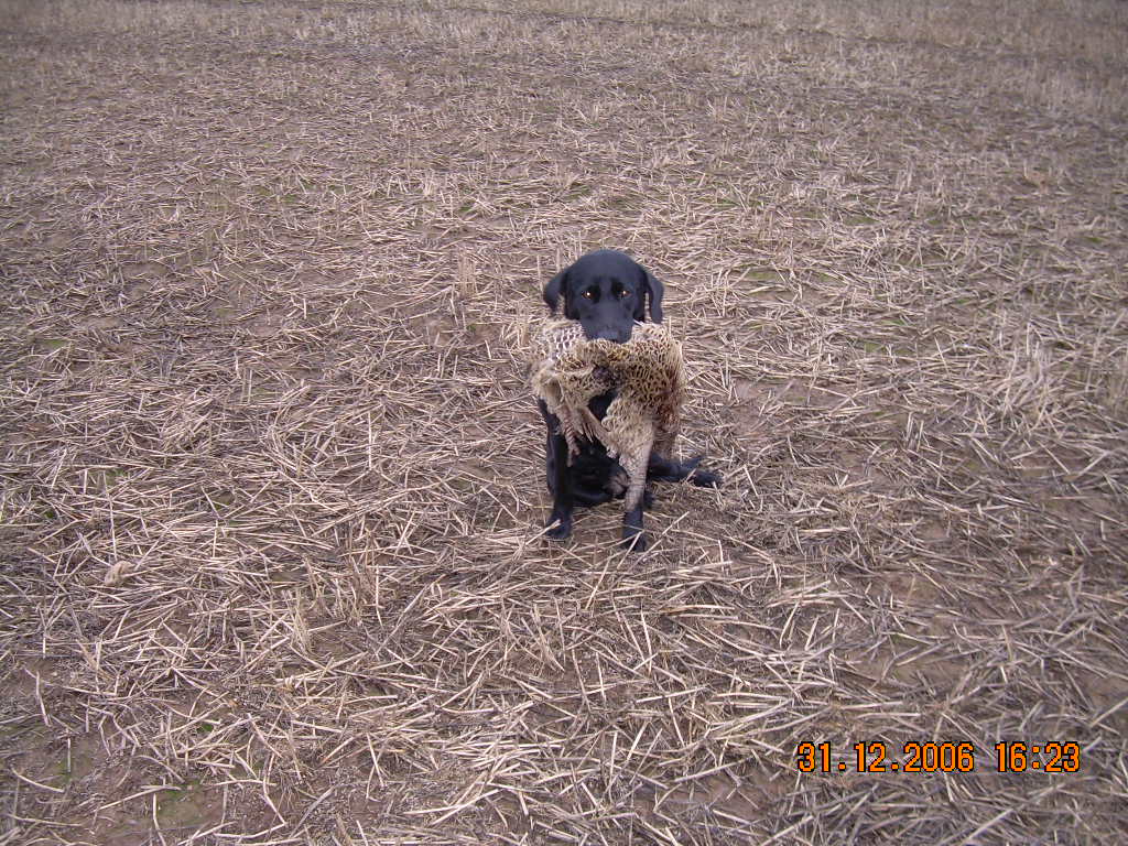 [england+06og07+017.jpg]