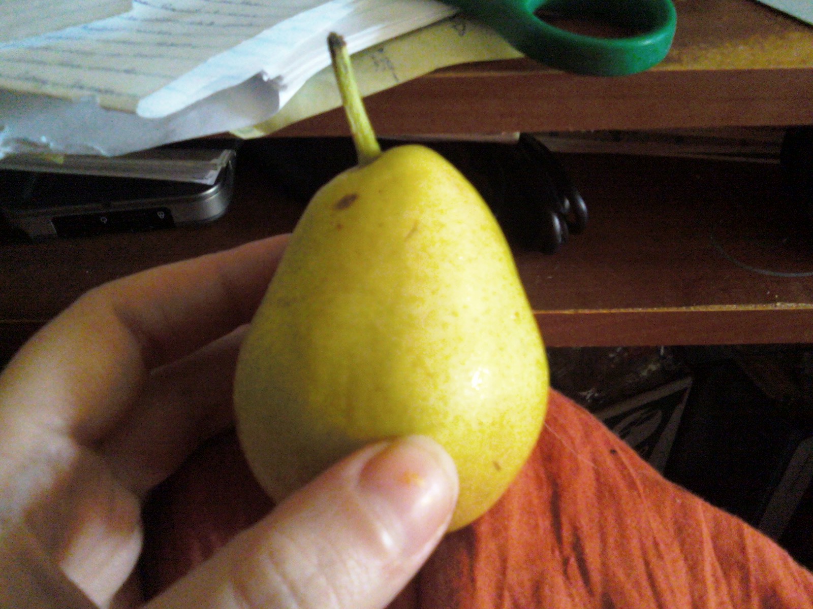 [farelle+pear.jpg]