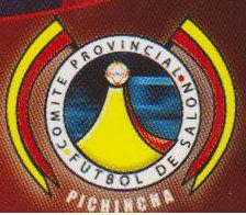 FUTBOL DE SALON DE PICHINCHA