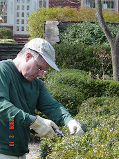 Atlanta Photo Pruning Journal