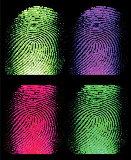 [060922-fingerprints_big.jpg]