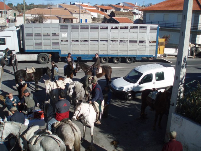 [P1010268.JPG]