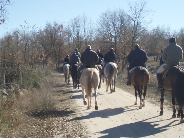 [P1010275.JPG]