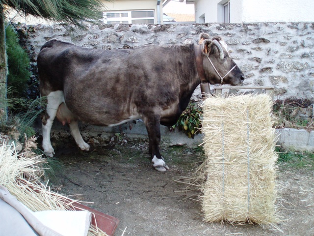 [P1010152.JPG]