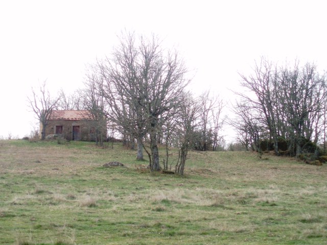 [P1010118.JPG]