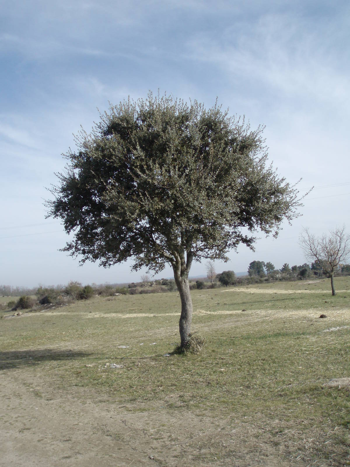 [P1010231.JPG]