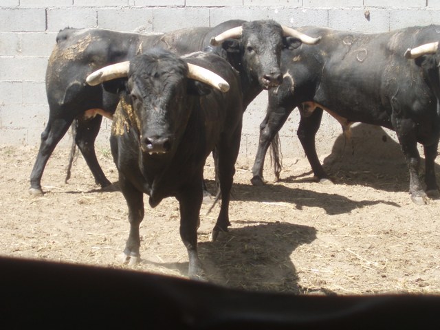 [P1010175.JPG]