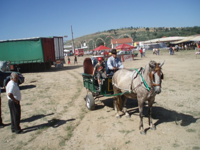 [P1010254.JPG]