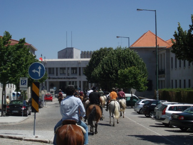 [P1010282.JPG]