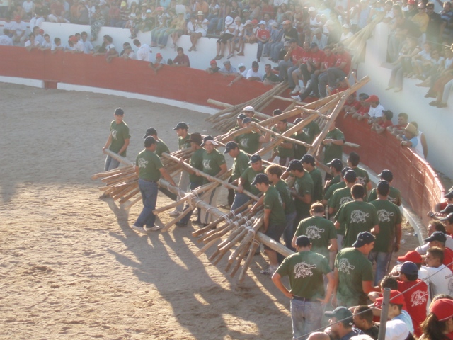 [P1010129.JPG]