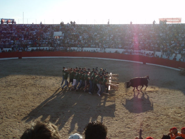 [P1010142.JPG]