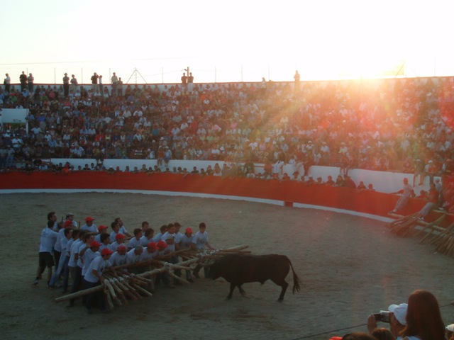 [P1010208.JPG]