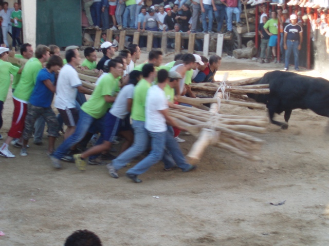 [P1010354.JPG]