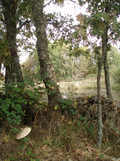 [P1010084.JPG]
