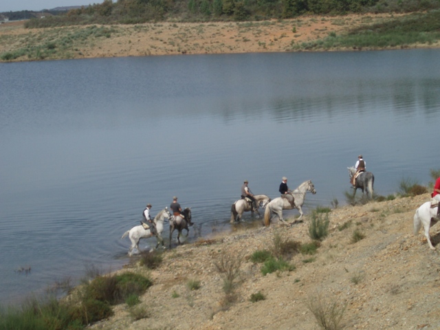 [P1010009.JPG]