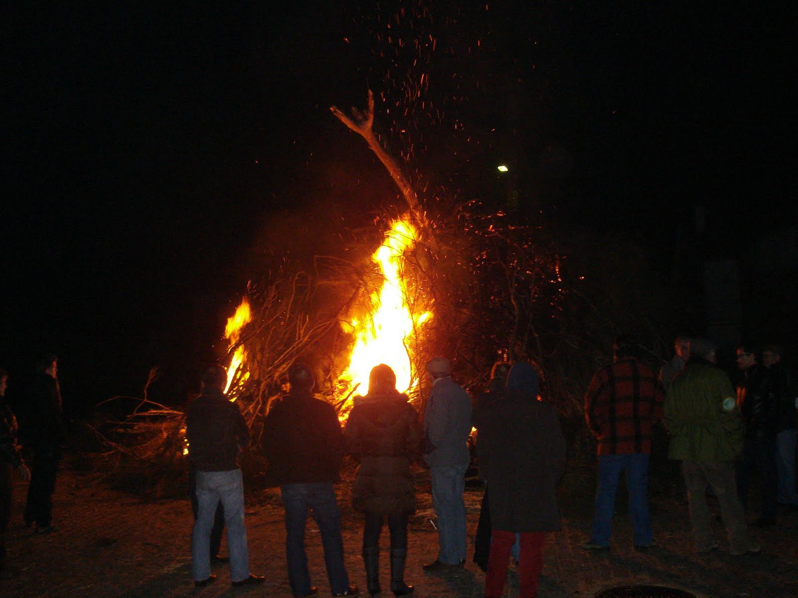 [DSC00578.JPG]