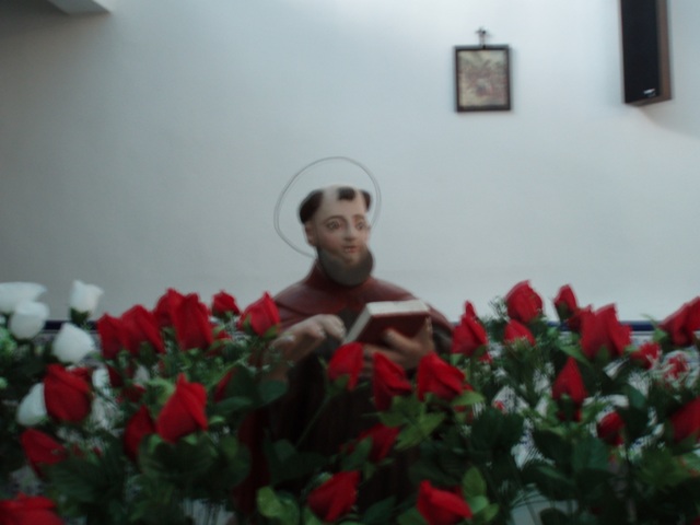 [P1010363.JPG]
