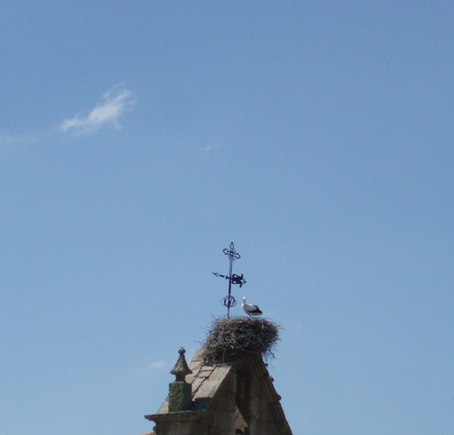 [P1010010.JPG]