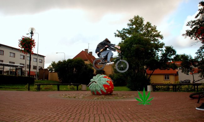 [d80a_112408_114.JPG]