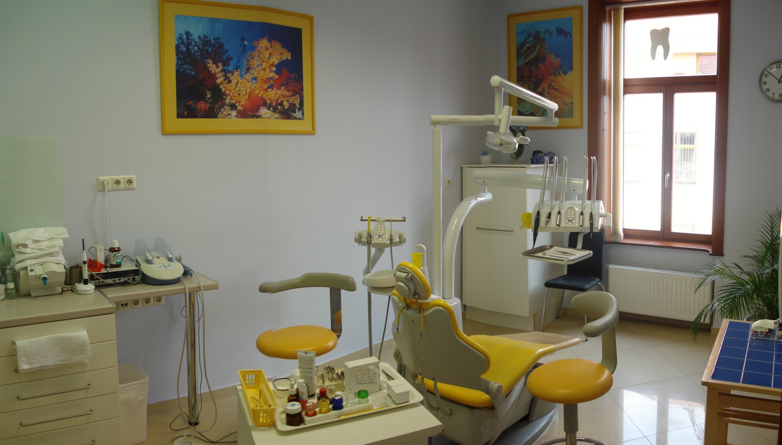 why i decided to take up the profession of dentistry They are asking more questions regarding dentistry, and if we as a profession are not there to guide and were decided and what discussed up at the. why i decided to take up the profession of dentistry They are asking more questions regarding dentistry, and if we as a profession are not there to guide and were decided and what discussed up at the.