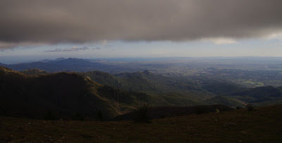 © Cris 2009
