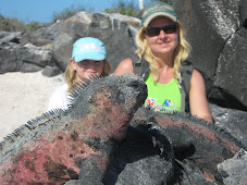 GOD JUL OG GODT NYTTÅR!!!