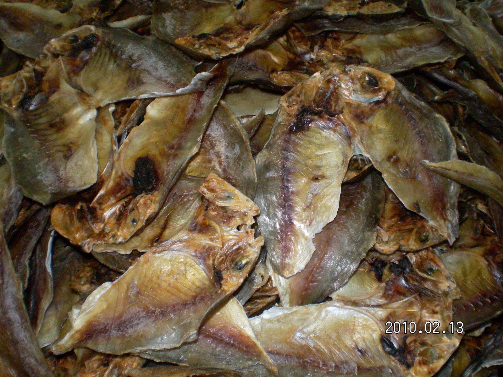 TODAY BUWAD(DRIED FISH) NG CEBU