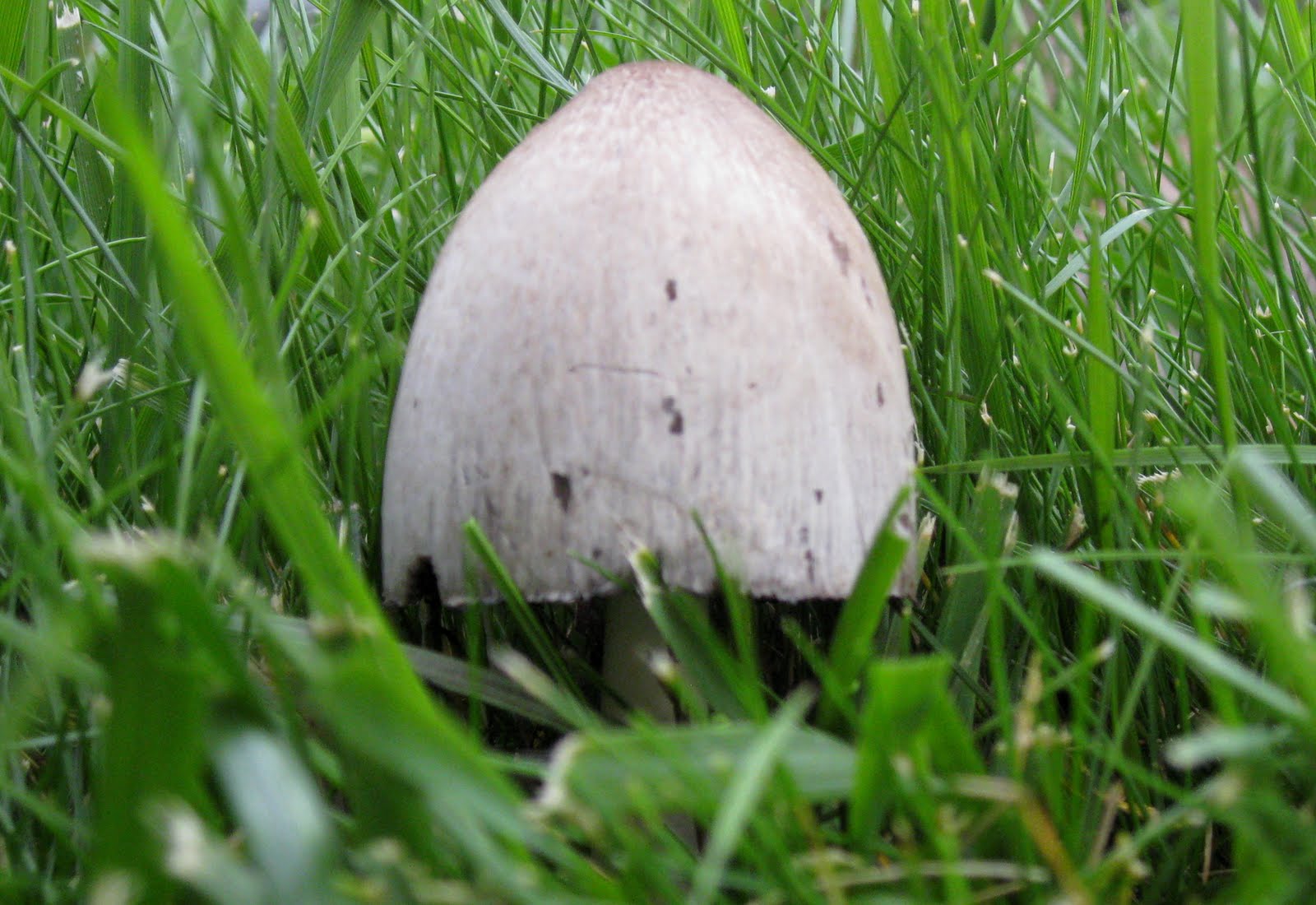 [IMG_2485.JPG]