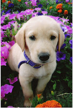 Daisy's first picture