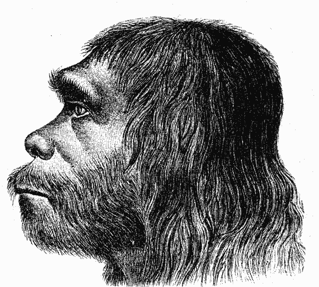 Neanderthal+man
