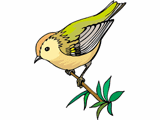 [bird2_1.gif]