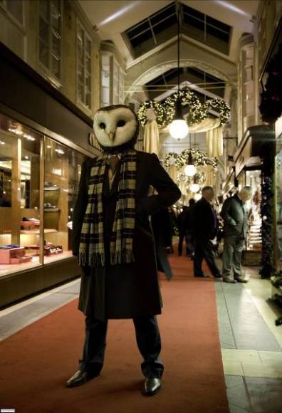 Creepy Owl Pictures