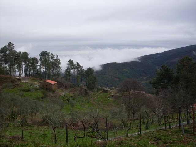 [SDC12103.JPG]