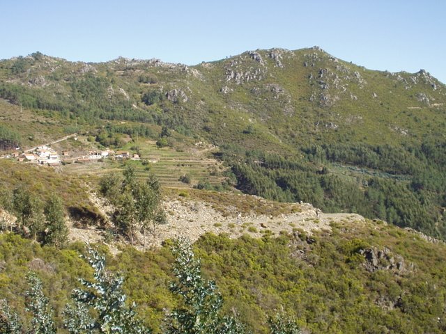 [P1010031.JPG]