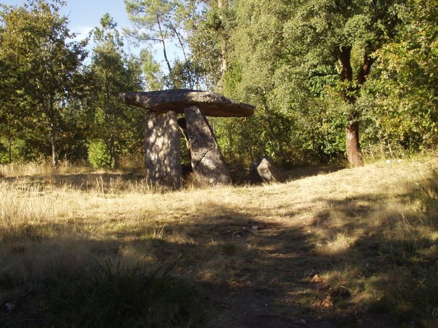[P1010068.JPG]