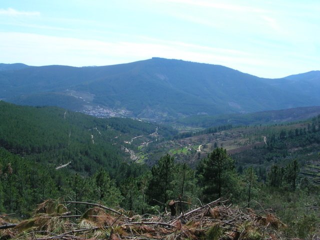 [DSCN4874.JPG]