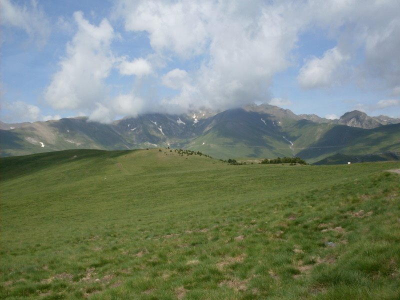 [SDC10635.JPG]