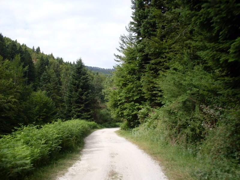 [SDC10943.JPG]