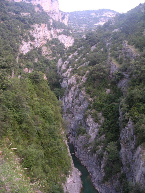[DSCN5945.JPG]