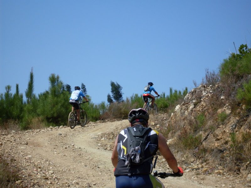 [SDC11431.JPG]