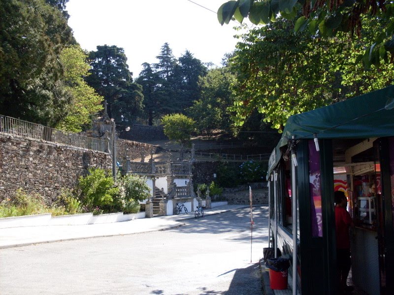 [SDC11383.JPG]