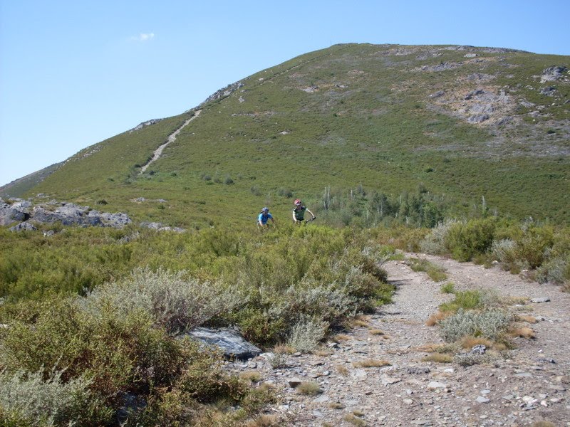 [SDC11421.JPG]