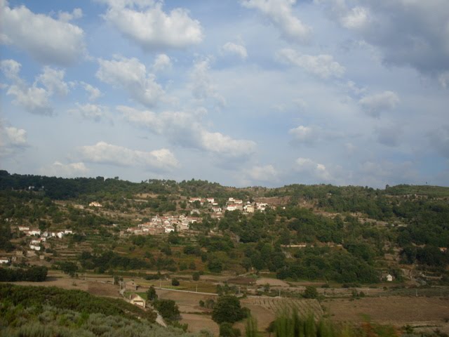 [SDC11457.JPG]