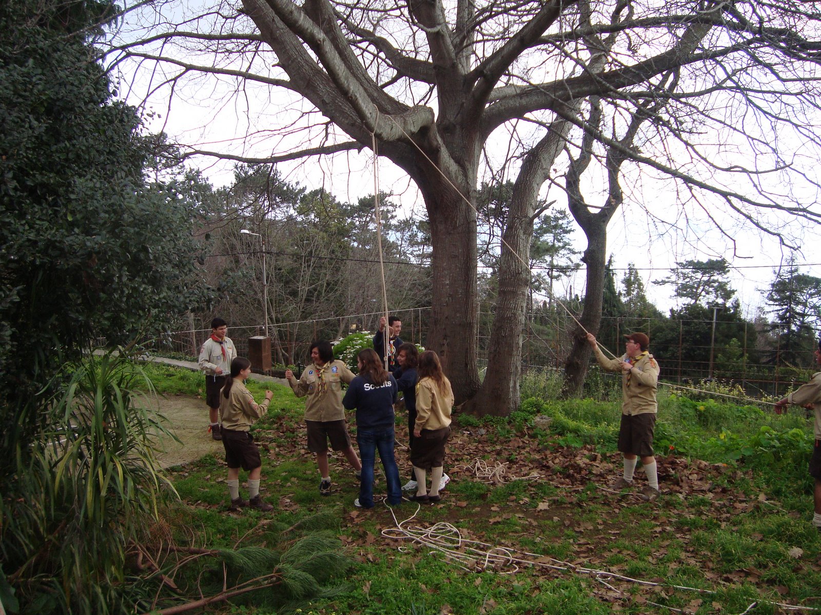 [DSC02152.JPG]