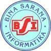 Bina Saran Informatika